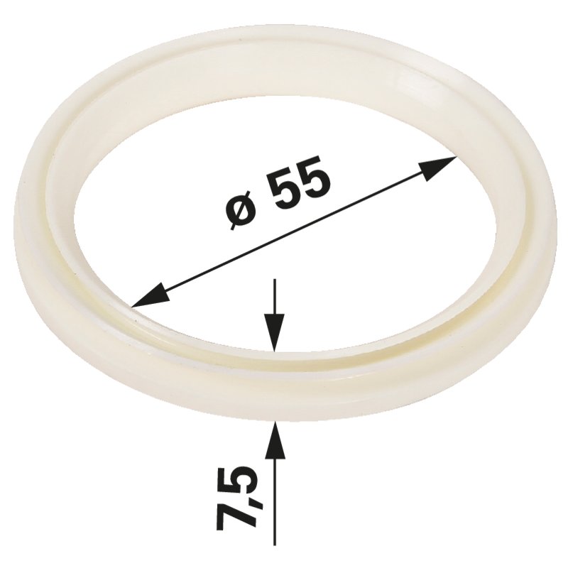 Dichtring 55 x 7,5 mm